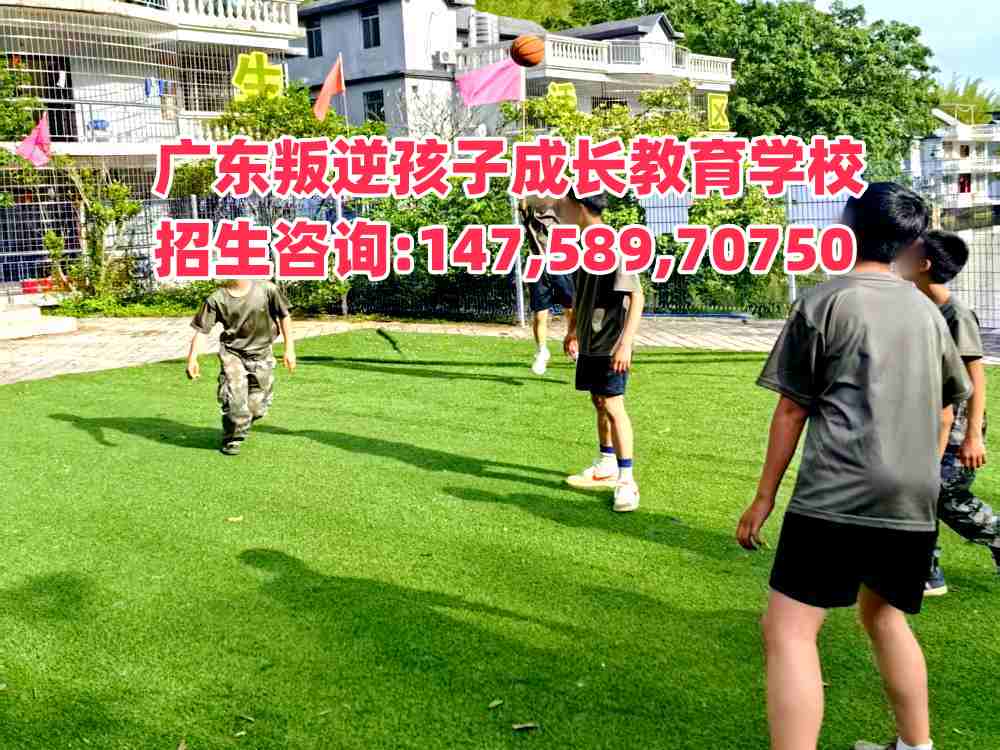 廣東成長(zhǎng)教育招生熱線14758970750